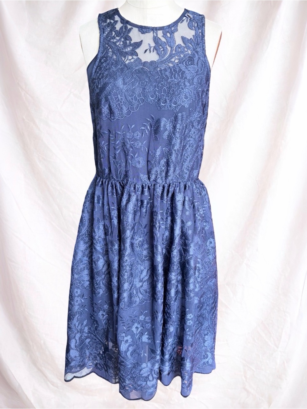 Erin Fetherston Lace Dress Size 8 Navy Floral Embroidered Sleeveless Midi